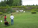 Canadian Natl 095